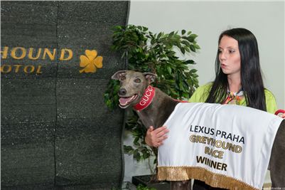 Lexus_Praha_Greyhound_Race_Gucci_Winner_CGDF_256.jpg