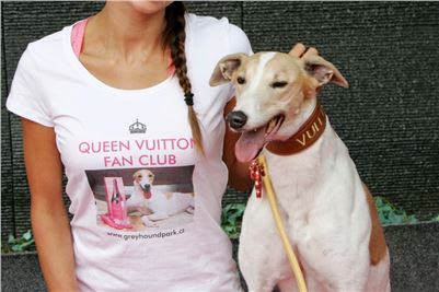 Queen_Vuitton_Fan_Club_Czech_Greyhound_Racing_Greyhound_Park_Motol_Prague_NQ1M0669_r.JPG