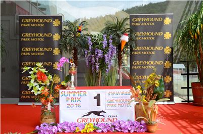 Chrt_dostihy_Greyhound_Racing_Park_Praha_CGDF_summer_prix_hawaii_2016_0001.jpg