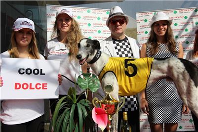 Chrti_dostihy_winner_Greyhound_Company_Cup_Czech_Racing_Prague_CGDF (1).JPG