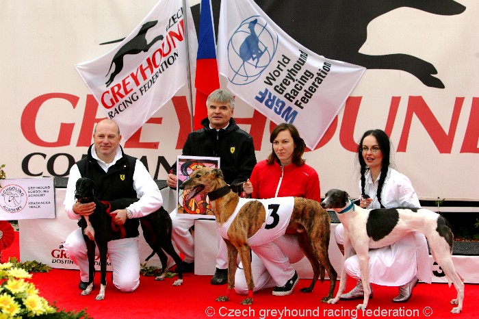 Greyhound_Schooling_Academy_Czech_Greyhound_Racing_Federation_NQ1M8686.JPG