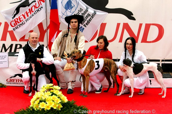 Greyhound_Schooling_Academy_Czech_Greyhound_Racing_Federation_NQ1M8697.JPG
