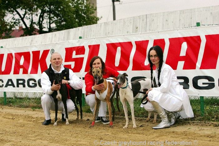 Greyhound_Schooling_Academy_Czech_Greyhound_Racing_Federation_NQ1M8785.JPG