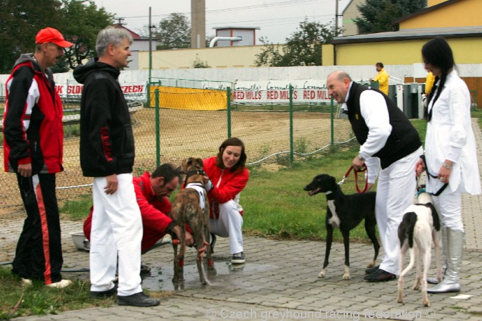 Greyhound_Schooling_Academy_Czech_Greyhound_Racing_Federation_NQ1M8825.JPG