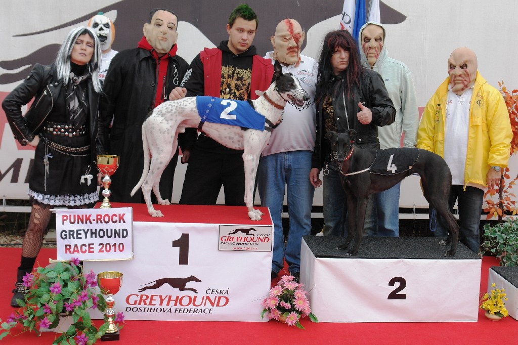 halloween-punk-rock-greyhound-race-czech-greyhound-racing-federation-DSC01840.JPG