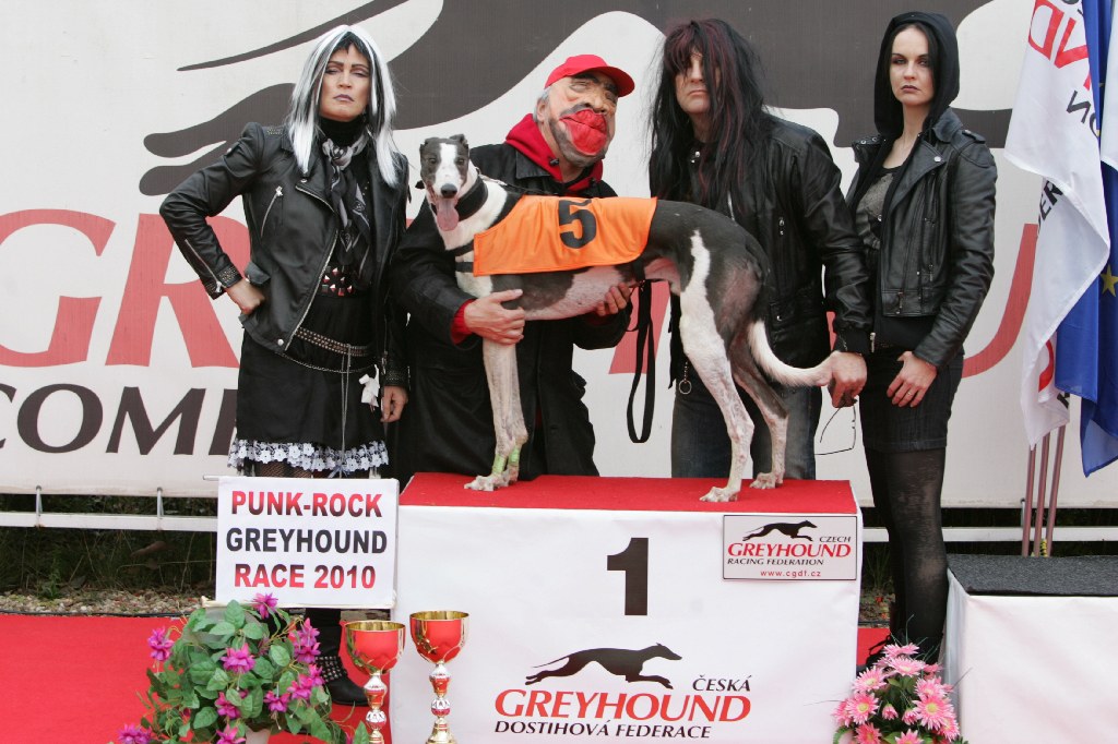 halloween-punk-rock-greyhound-race-czech-greyhound-racing-federation-NQ1M9147.JPG