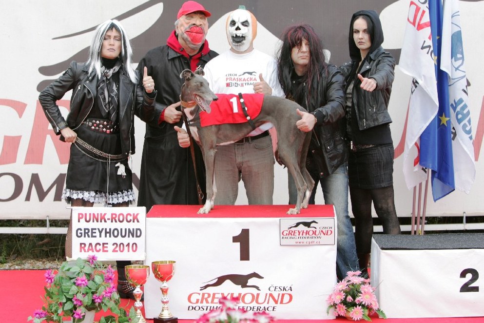 halloween-punk-rock-greyhound-race-czech-greyhound-racing-federation-NQ1M9151.JPG