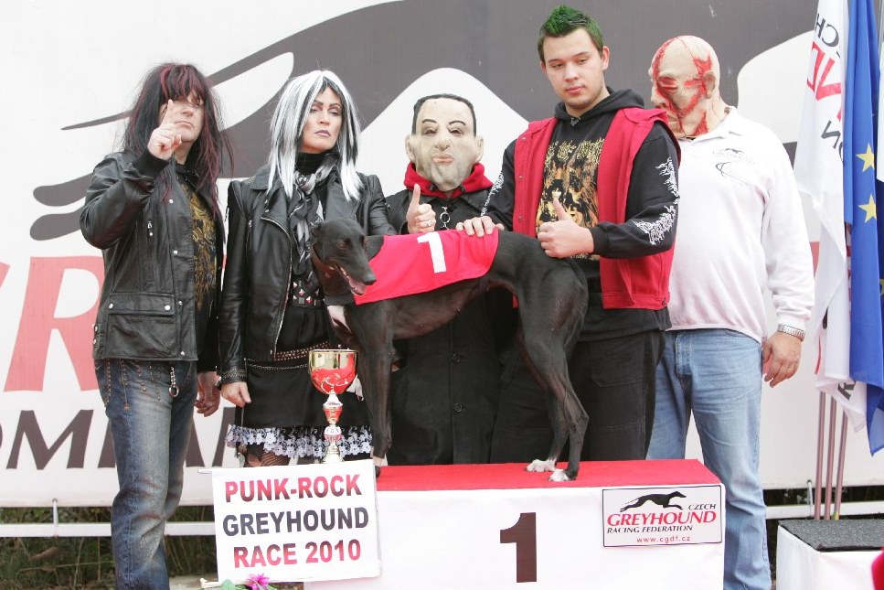 halloween-punk-rock-greyhound-race-czech-greyhound-racing-federation-NQ1M9159.JPG