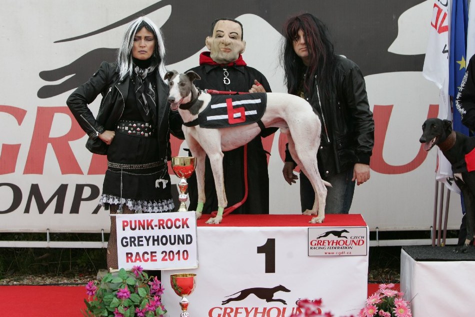 halloween-punk-rock-greyhound-race-czech-greyhound-racing-federation-NQ1M9243.JPG