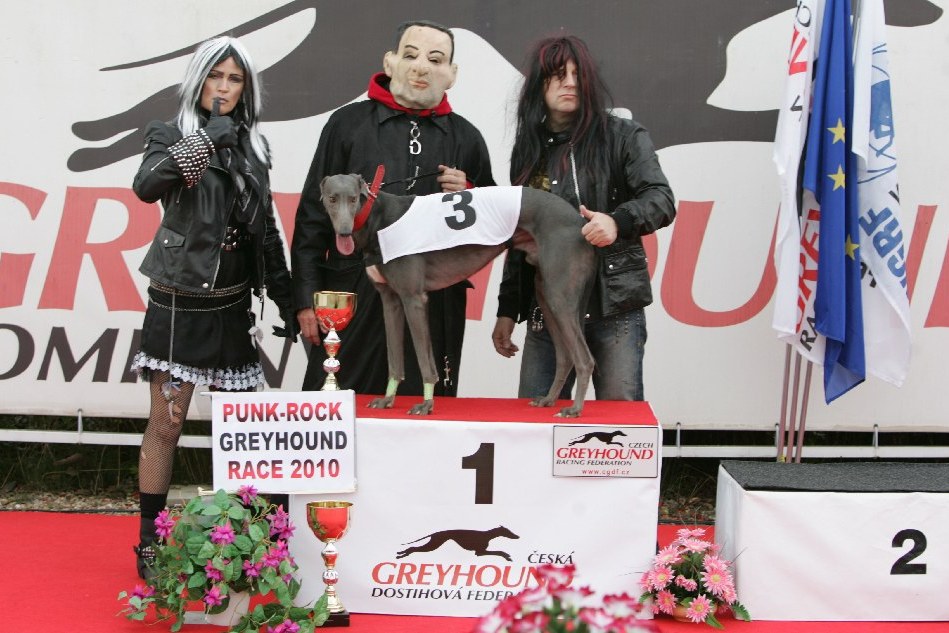 halloween-punk-rock-greyhound-race-czech-greyhound-racing-federation-NQ1M9257.JPG