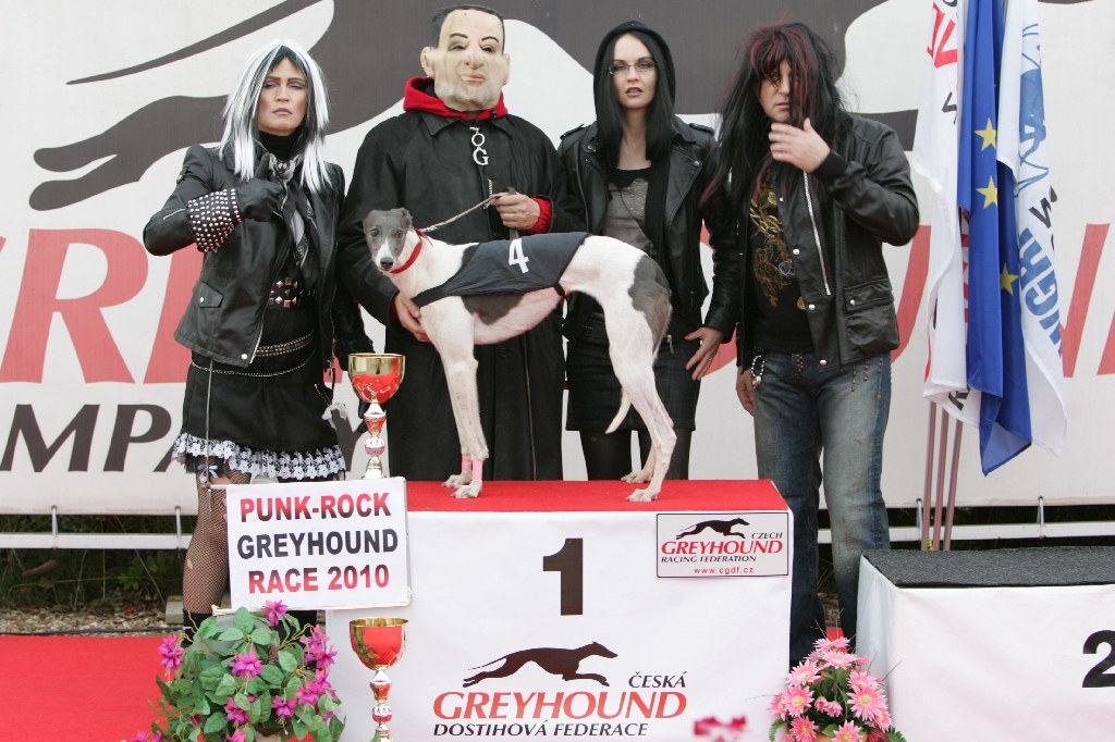 halloween-punk-rock-greyhound-race-czech-greyhound-racing-federation-NQ1M9264.JPG
