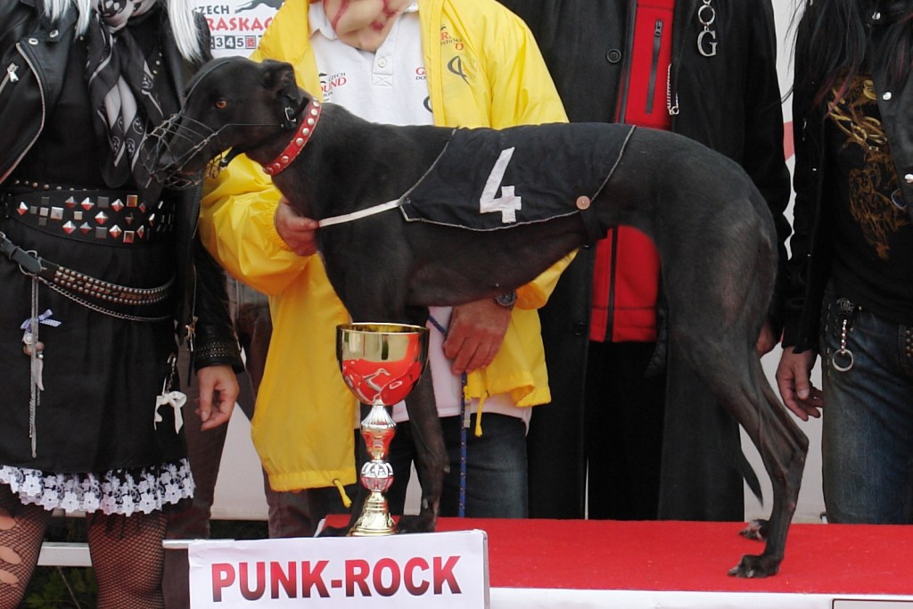 halloween-punk-rock-greyhound-race-czech-greyhound-racing-federation-DSC01843.JPG