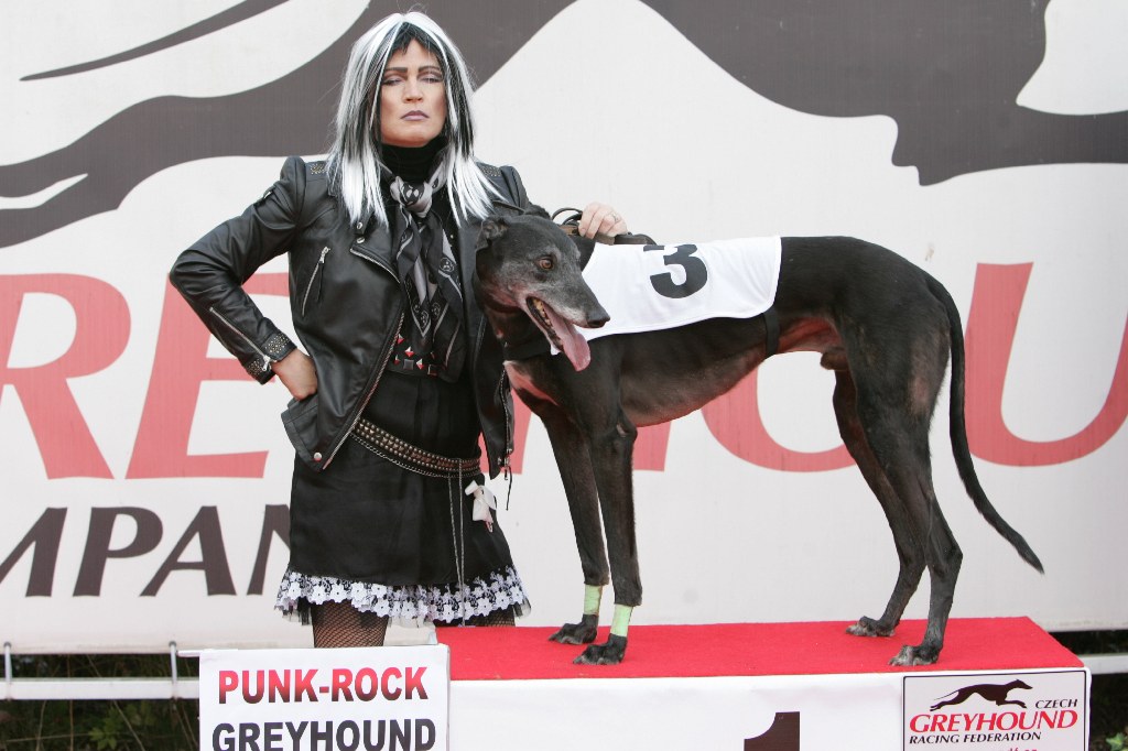 halloween-punk-rock-greyhound-race-czech-greyhound-racing-federation-NQ1M9122.JPG