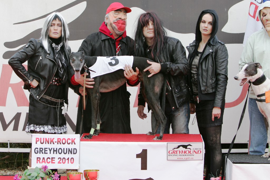 halloween-punk-rock-greyhound-race-czech-greyhound-racing-federation-NQ1M9131.JPG