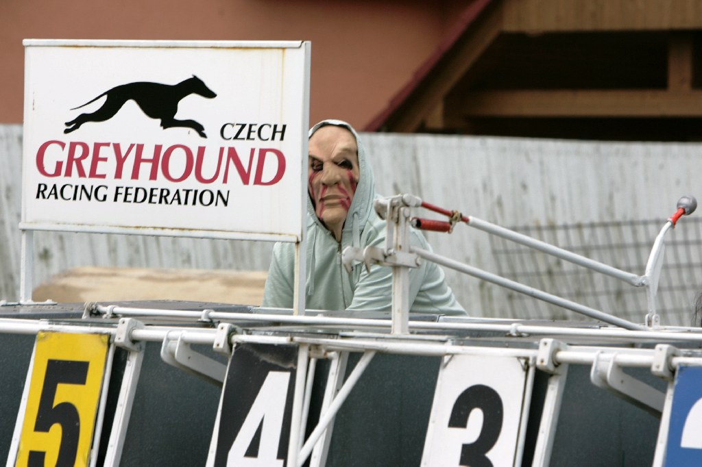 halloween-punk-rock-greyhound-race-czech-greyhound-racing-federation-NQ1M9165.JPG