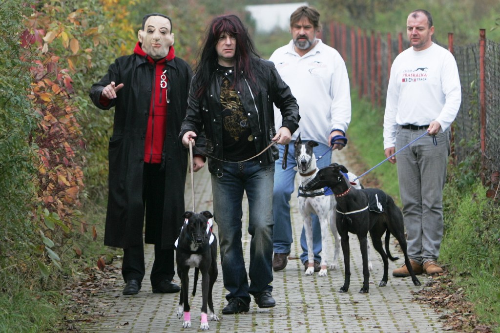 halloween-punk-rock-greyhound-race-czech-greyhound-racing-federation-NQ1M9322.JPG