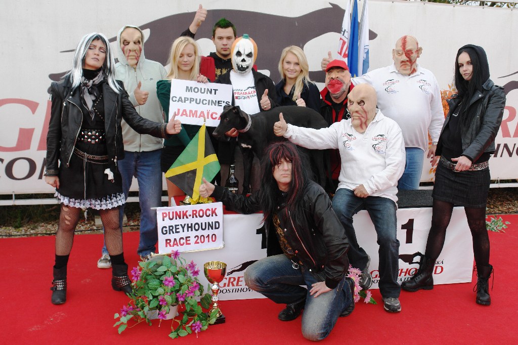 halloween-punk-rock-greyhound-race-czech-greyhound-racing-federation-DSC01914.JPG
