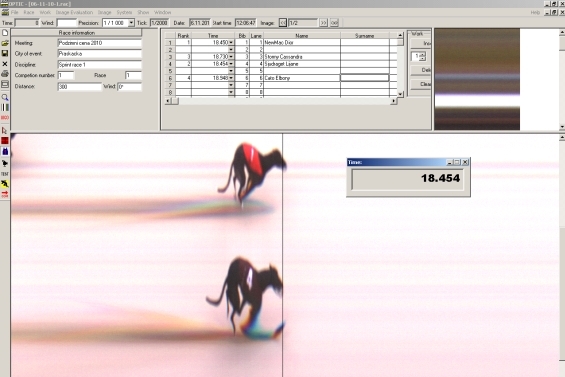 Dior_Lijane_Podzimni_cena_2010_Czech_Greyhound_Racing_Federation.jpg