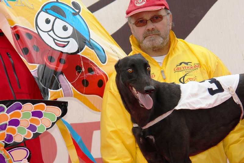 dostihy_chrtů_PC_2010_Czech_Greyhound_Racing_Federation_DSC02738-v.JPG