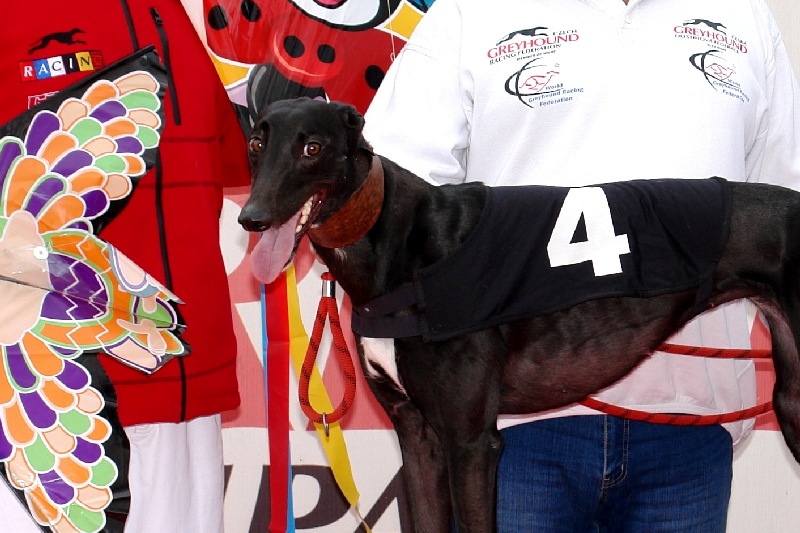 dostihy_chrtů_PC_2010_Czech_Greyhound_Racing_Federation_DSC02742-v.JPG