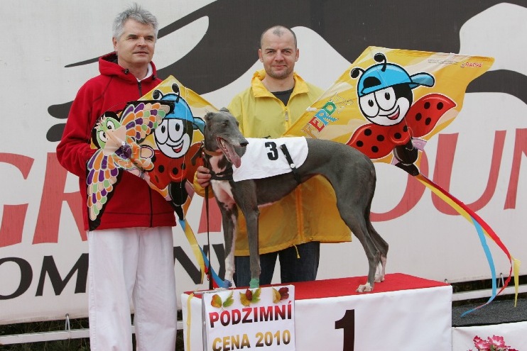 dostihy_chrtů_PC_2010_Czech_Greyhound_Racing_Federation_NQ1M0008.JPG