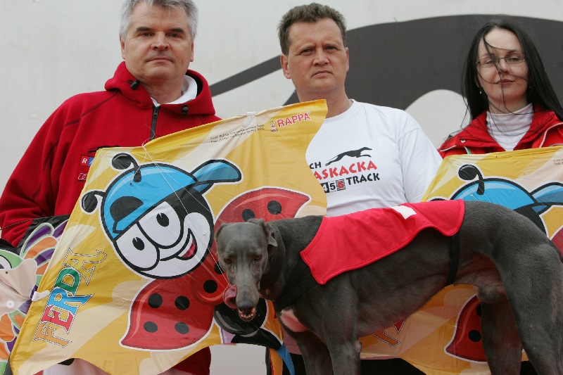 dostihy_chrtů_PC_2010_Czech_Greyhound_Racing_Federation_NQ1M0035.JPG