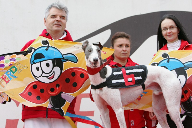 dostihy_chrtů_PC_2010_Czech_Greyhound_Racing_Federation_NQ1M0045.JPG