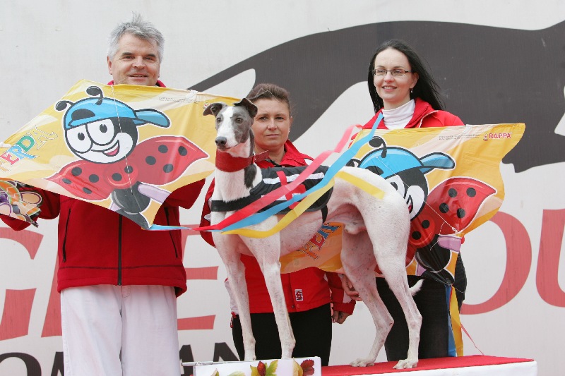 dostihy_chrtů_PC_2010_Czech_Greyhound_Racing_Federation_NQ1M0060.JPG