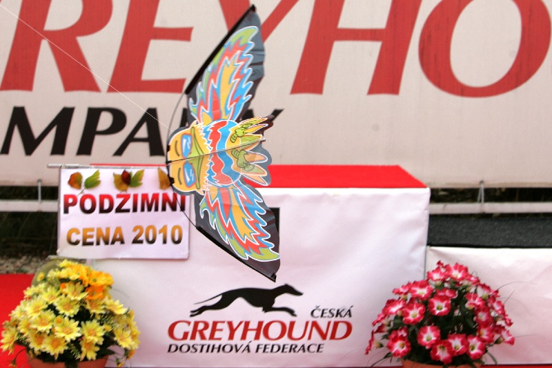 dostihy_chrtů_PC_2010_Czech_Greyhound_Racing_Federation_NQ1M0093.JPG