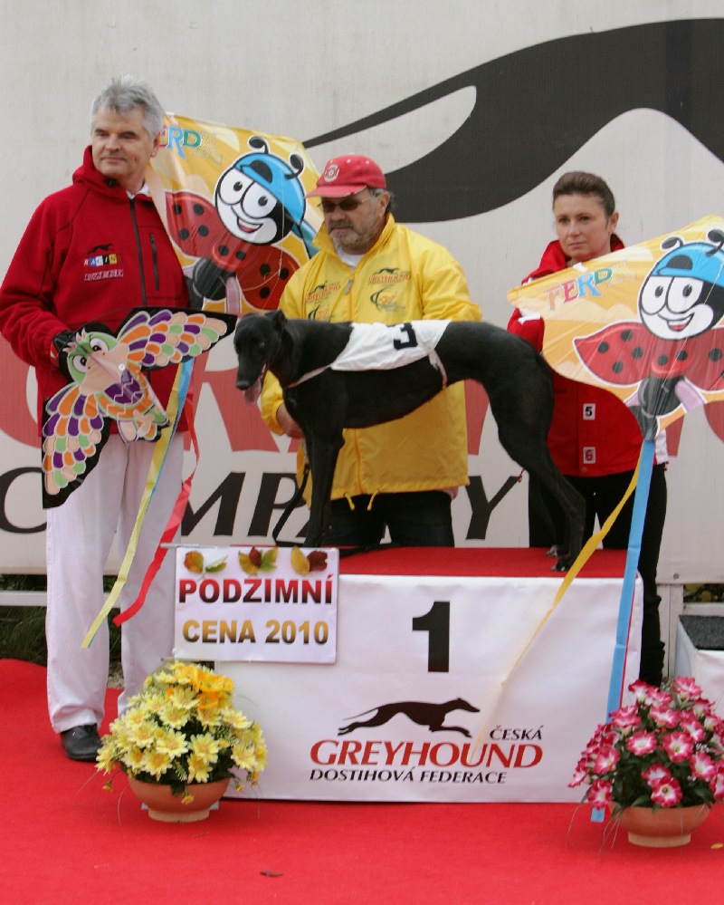 dostihy_chrtů_PC_2010_Czech_Greyhound_Racing_Federation_NQ1M9916.JPG