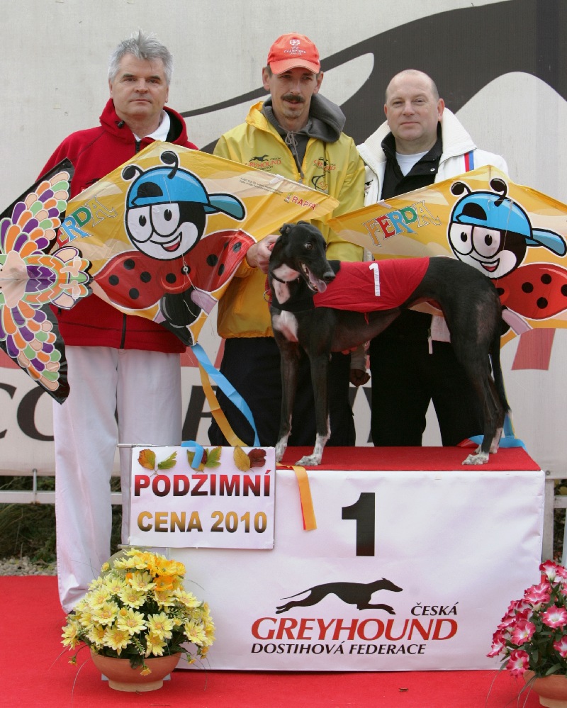 dostihy_chrtů_PC_2010_Czech_Greyhound_Racing_Federation_NQ1M9954.JPG