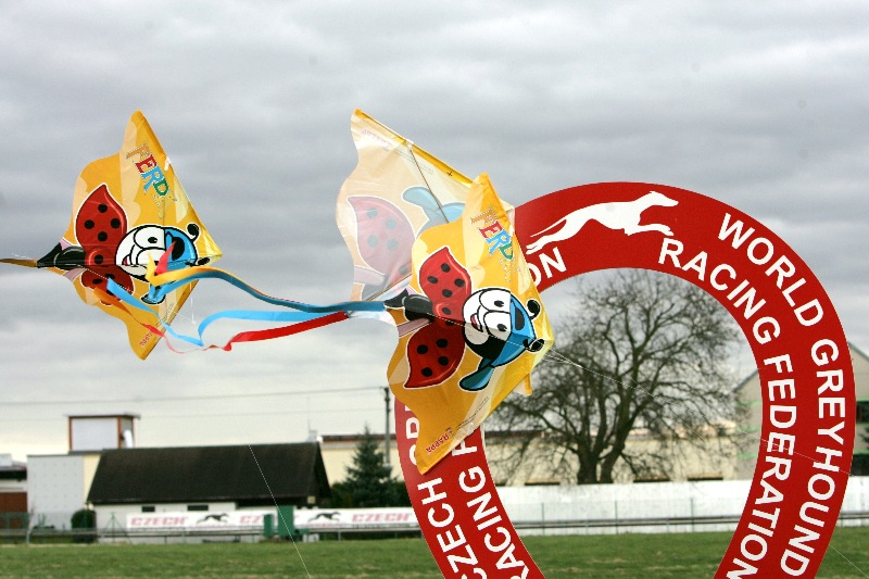 dostihy_chrtů_PC_2010_Czech_Greyhound_Racing_Federation_NQ1M9766.JPG