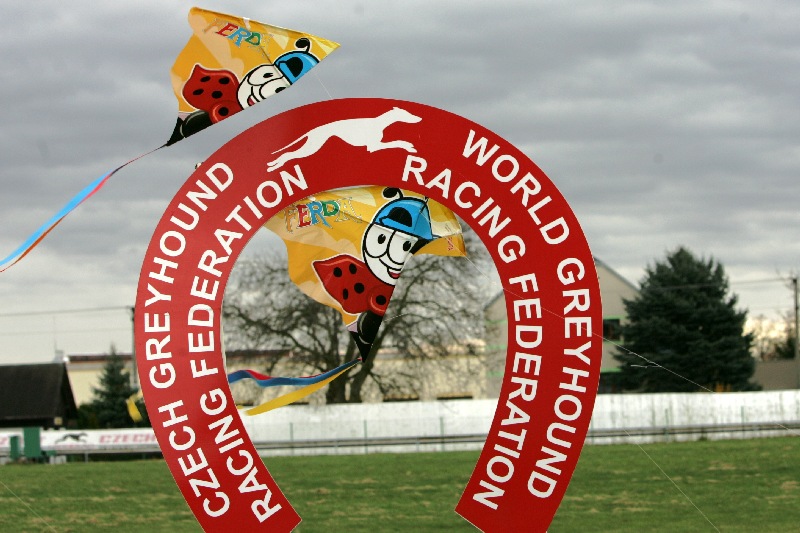 dostihy_chrtů_PC_2010_Czech_Greyhound_Racing_Federation_NQ1M9767.JPG