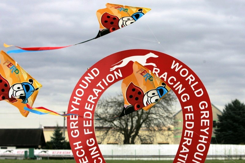 dostihy_chrtů_PC_2010_Czech_Greyhound_Racing_Federation_NQ1M9778.JPG