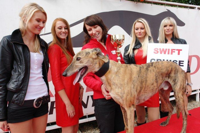 Swift_Cruise_Zlaty_chrt_vitez_Ceska_greyhound_dostihova_federace_DSC09477.jpg