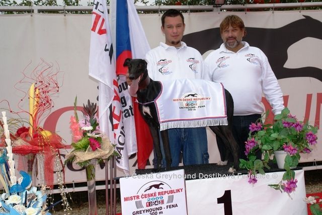 Zlaty_chrt_2010_vitez_Sjudraget_Lijane_Ceska_greyhound_dostihova_federace.jpg