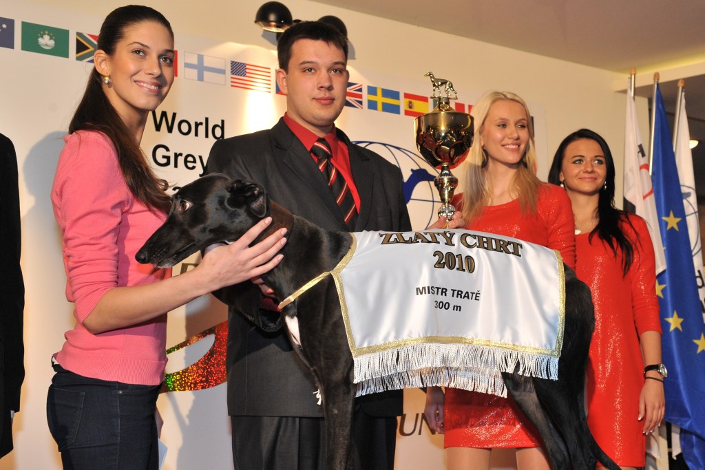 Zlatý chrt 2010 Sjudraget Lijane a Aneta Vignerová - Česká greyhound dostihová federace
