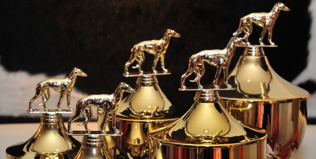 Chrtí "Oscaři"  Zlatý chrt 2010 - Česká greyhound dostihová federace