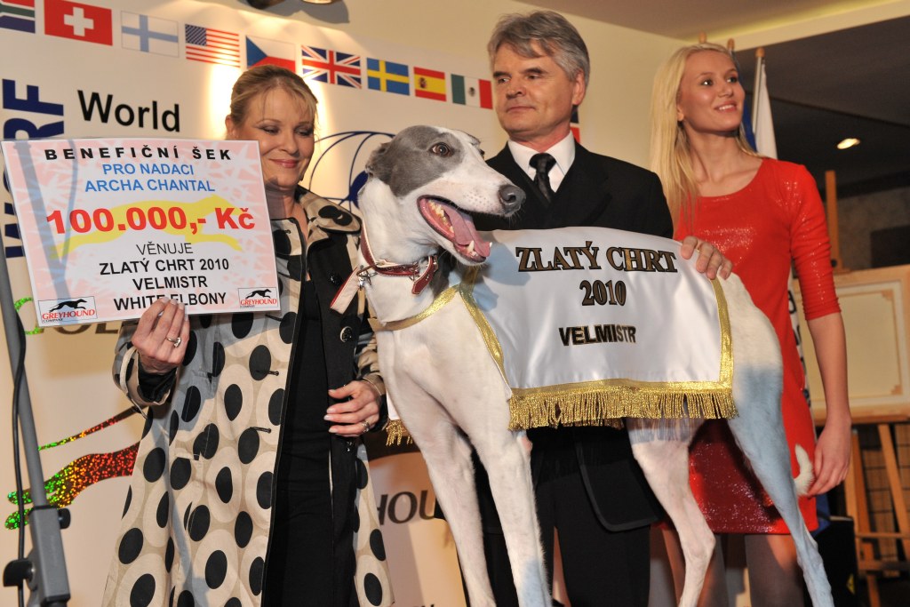Zlatý chrt Velmistr pomáhá dětem - Česká greyhound dostihová federace