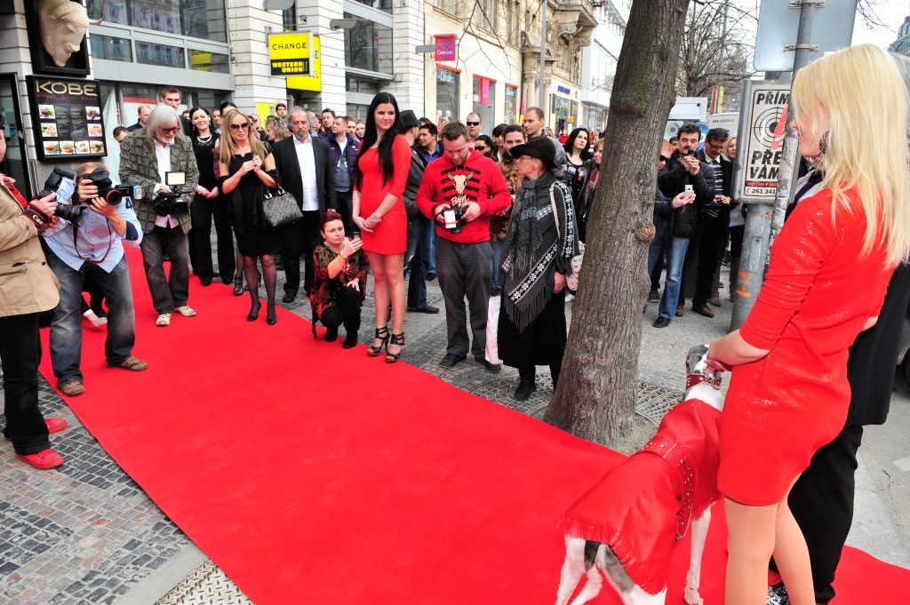 Zlaty_chrt_2010_celebrity_030.jpg