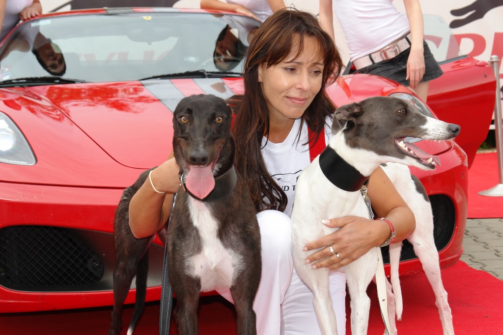 Ferrari_F430_s_pruhy_Scuderia_Exclusively_For_Greyhounds_CGDF_DSC05199.JPG