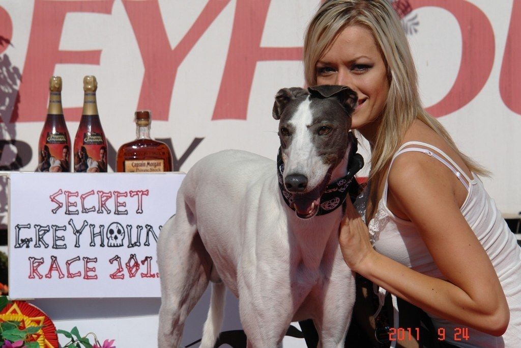 Winner_White_Elbony_Czech_Greyhound_Racing_Federation_DSC07974.jpg