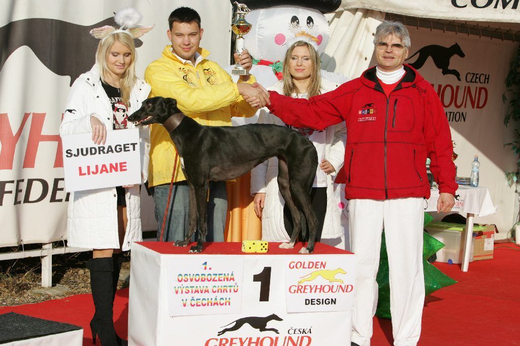 001_Zlaty_Chrt_Design_Lijane_Czech_Greyhound_Racing_Federation_NQ1M0220.jpg