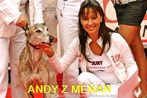 003_Zlaty_Chrt_Design_Andy_Czech_Greyhound_Racing_Federation_Heidi.jpg