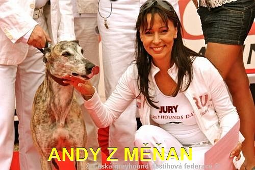 003_Zlaty_Chrt_Design_Andy_Czech_Greyhound_Racing_Federation_Heidi.jpg