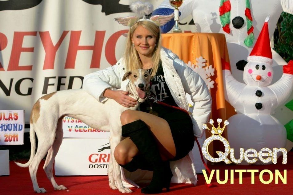 Zlaty_Chrt_Design_Vuitton_Czech_Greyhound_Racing_Federation_NQ1M0398-v-u.jpg