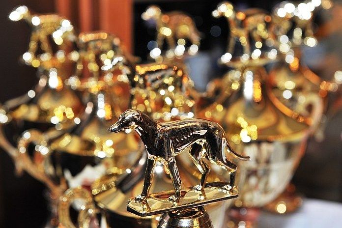 Golden_Greyhound_Awards_Czech_Greyhound_Racing_Federation_0002-u.jpg