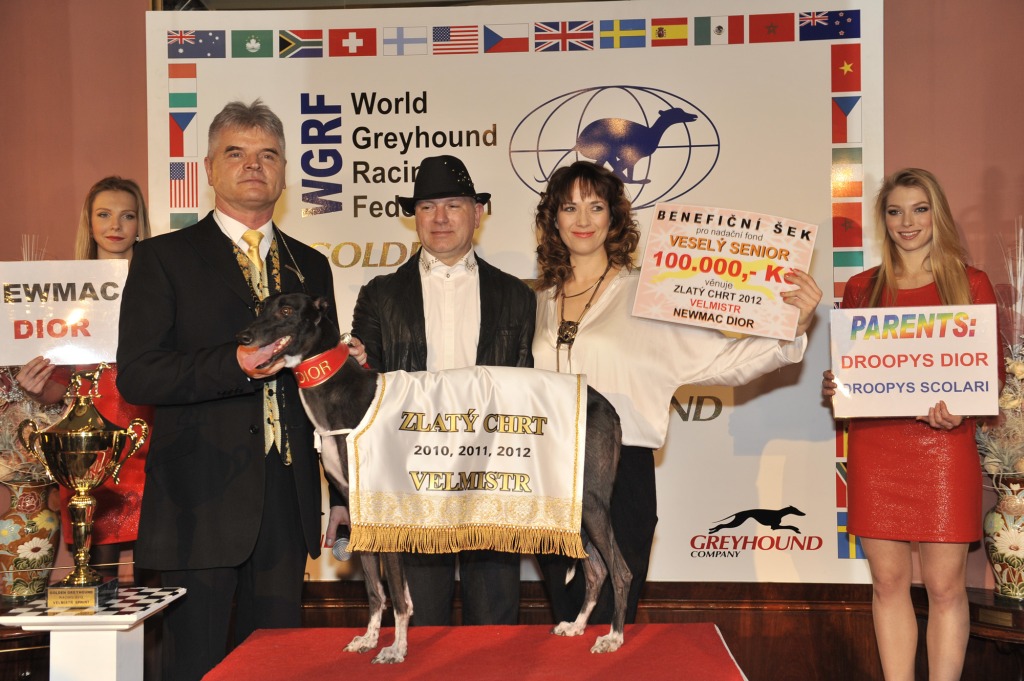 Zlaty_chrt_Golden_Greyhound_Dior_Winner_CGDF_187.jpg