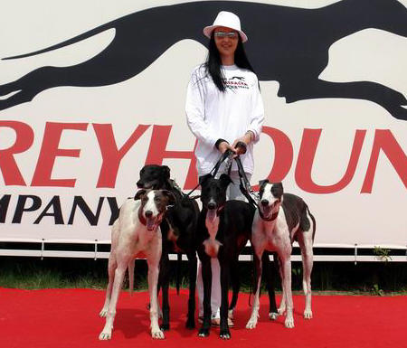 dostihova_draha_Praskacka_Czech_Greyhound_Racing_Federation_DSC00987.JPG