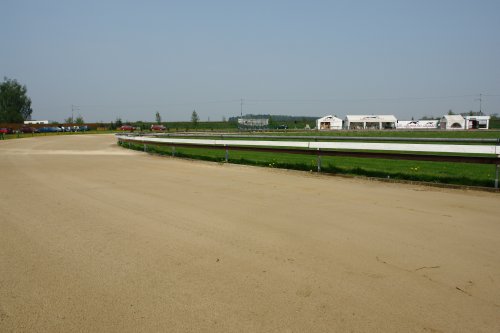 dostihova_draha_Praskacka_Czech_Greyhound_Racing_Federation_DSC02695.JPG